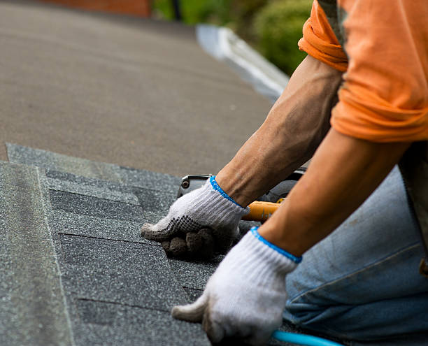 Best Storm Damage Roof Repair  in Clermont, FL